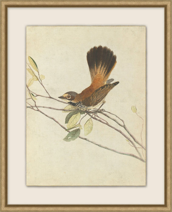 Birds Of Autumn 4 17.13W X 21.13H