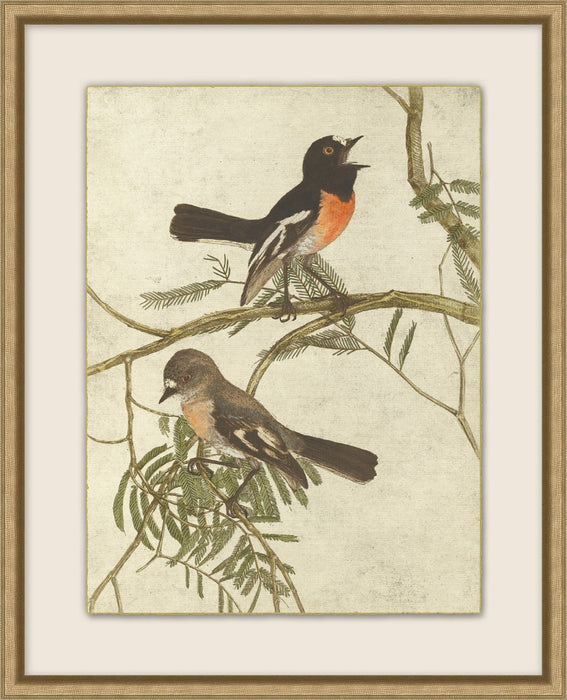 Birds Of Autumn 5 17.13W X 21.13H