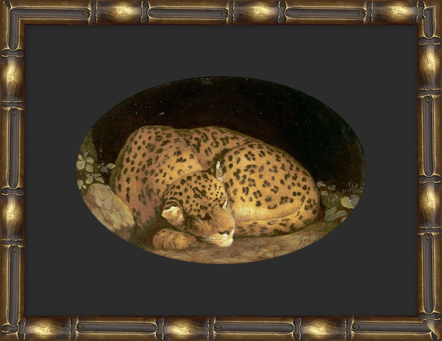 Sleeping Leopard 17.5W X 13.5H