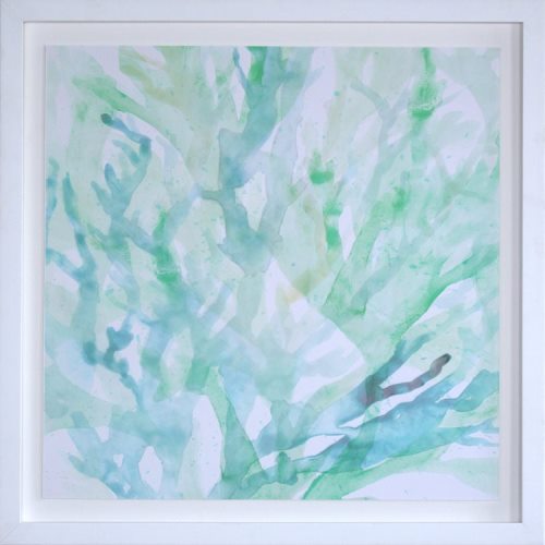 STILL724LA - Translucent Ocean Life 1 43W x 43H