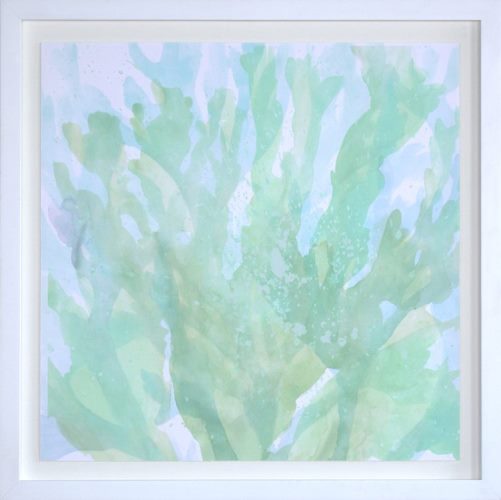 STILL727LA - Translucent Ocean Life 4 43W x 43H