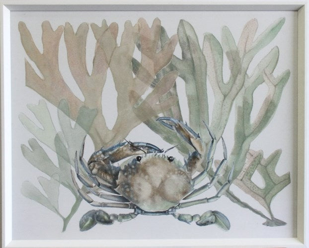 STILL738LA - Aquatic Assortment 8 32W x 26H