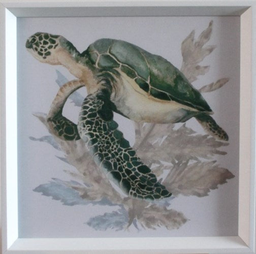 STILL741LA - Aquatic Assortment 11 16W x 16H