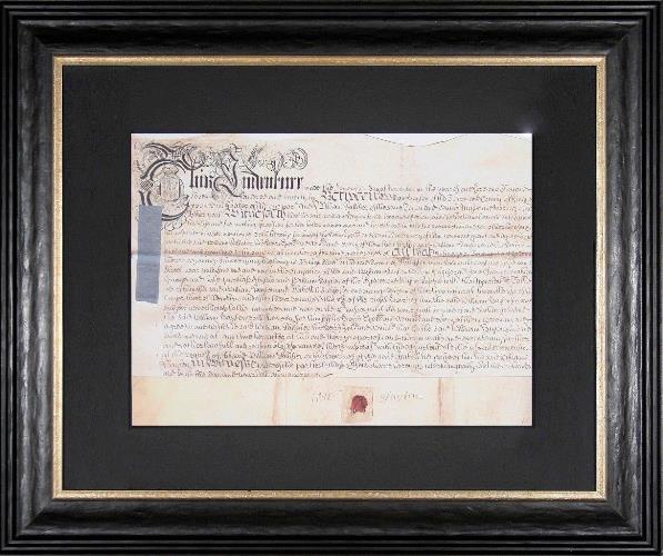 Untitled Document 1 24W x 20H