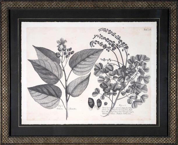 Vintage Folia III 22W x 18H