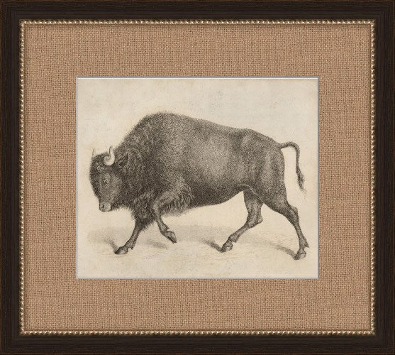 Antique Bull 19.5W x 17.5H