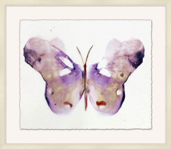 Crystalline Butterflies 4 31W x 27H