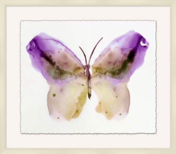 Crystalline Butterflies 5 31W x 27H