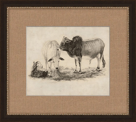 Antique Grazing Cows 19W x 17H