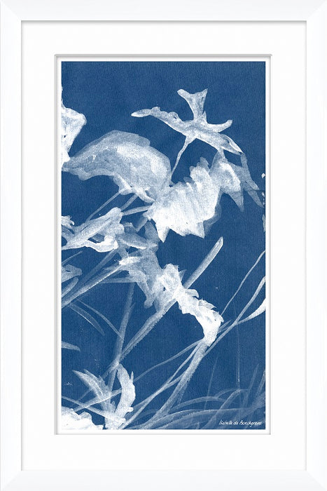 Cyanotype Blues I 16W x 24H