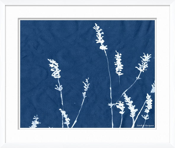 Cyanotype Blues V 26W x 22H