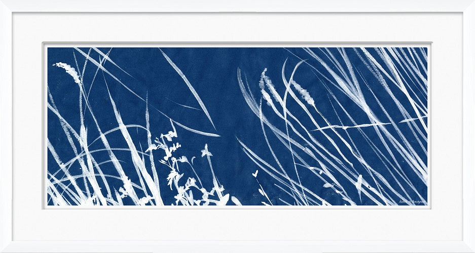 Cyanotype Blues IX 30W x 16H