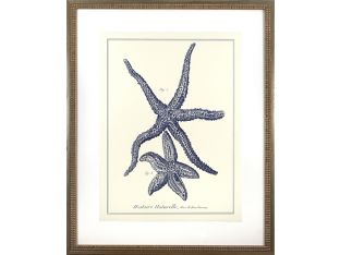Custom Indigo Starfish I 26W x 32H