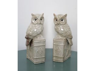 Pair of Ceramic Owl Bookends