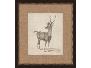 Antique Lone Deer 17W x 19H