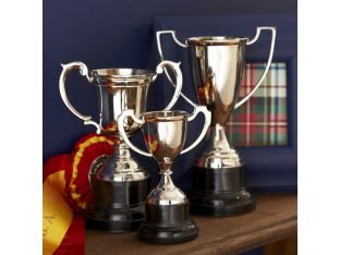 Set of 3 Trophies - Cleared Decor