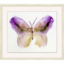 Crystalline Butterflies 5 31W x 27H