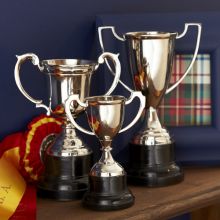 Set of 3 Trophies - Cleared Decor